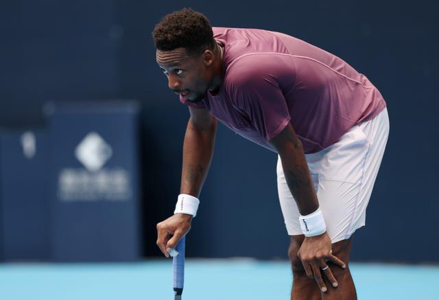 日本网球队轻取德国网球队，梅德韦杰夫统治全场的简单介绍