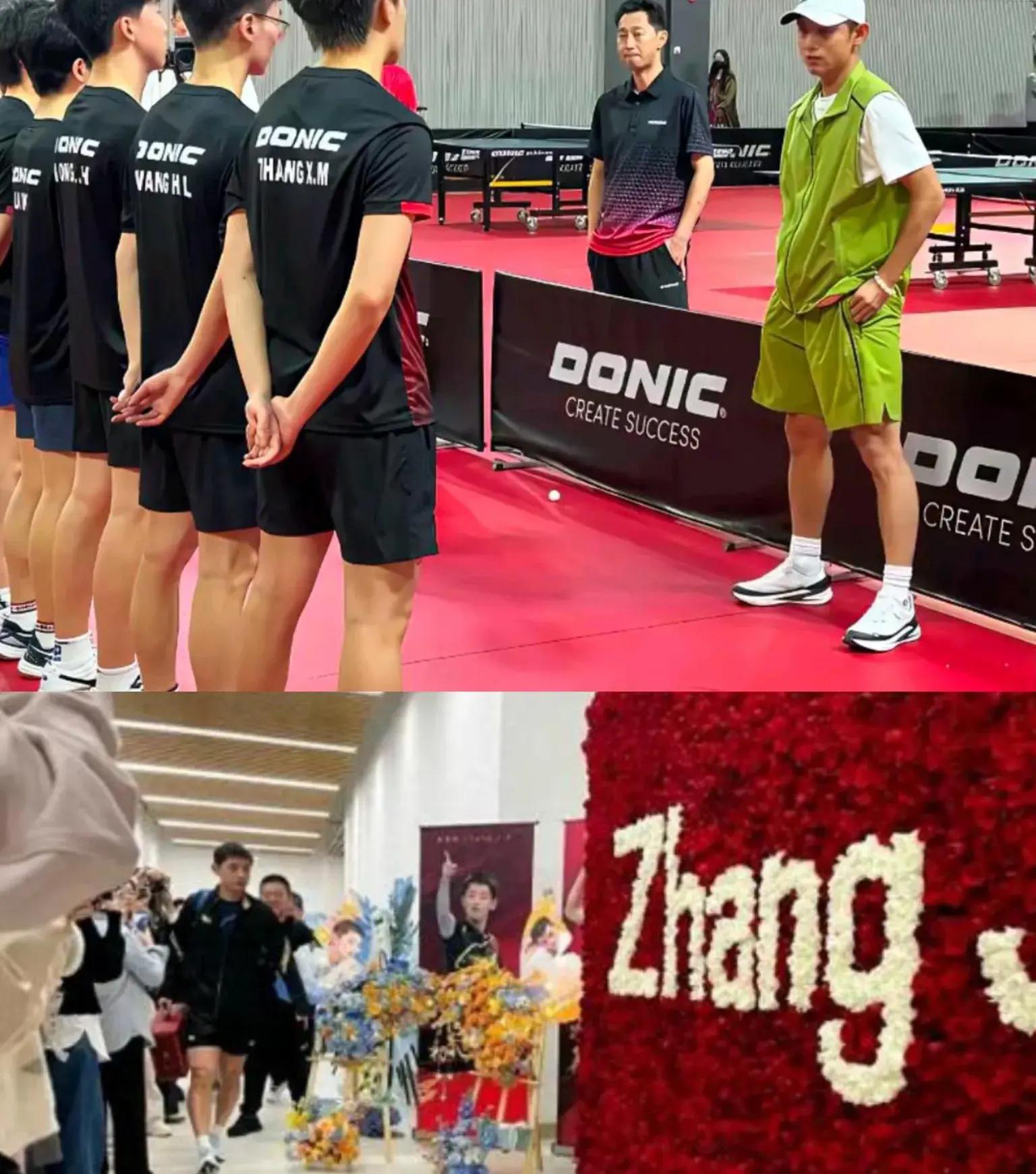 日本乒乓球队鏖战比利时乒乓球队，张继科制霸全场的简单介绍