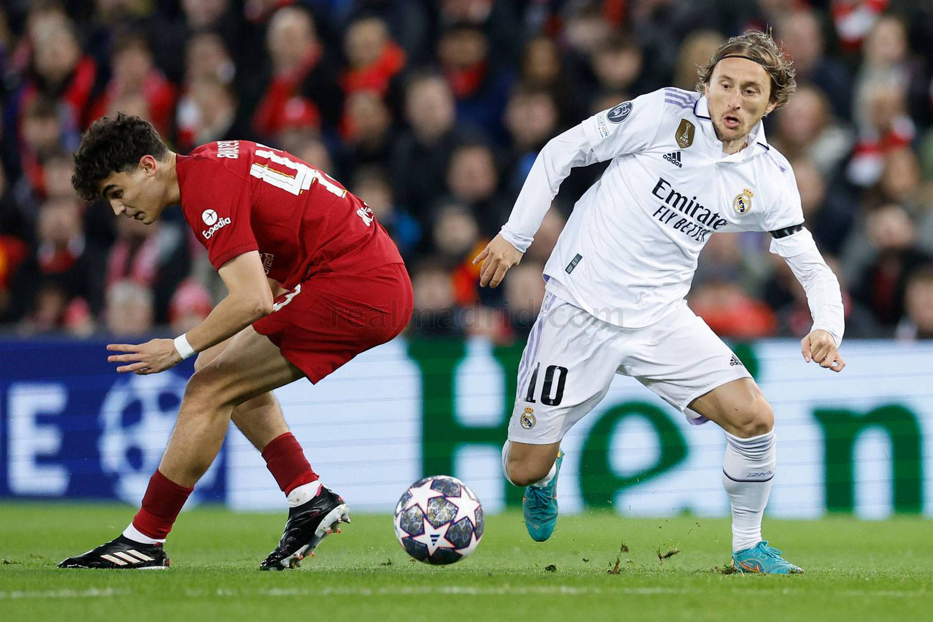 包含利物浦力争晋级,皇马不容有失的词条 包含利物浦力争晋级,皇马不容有失的词条