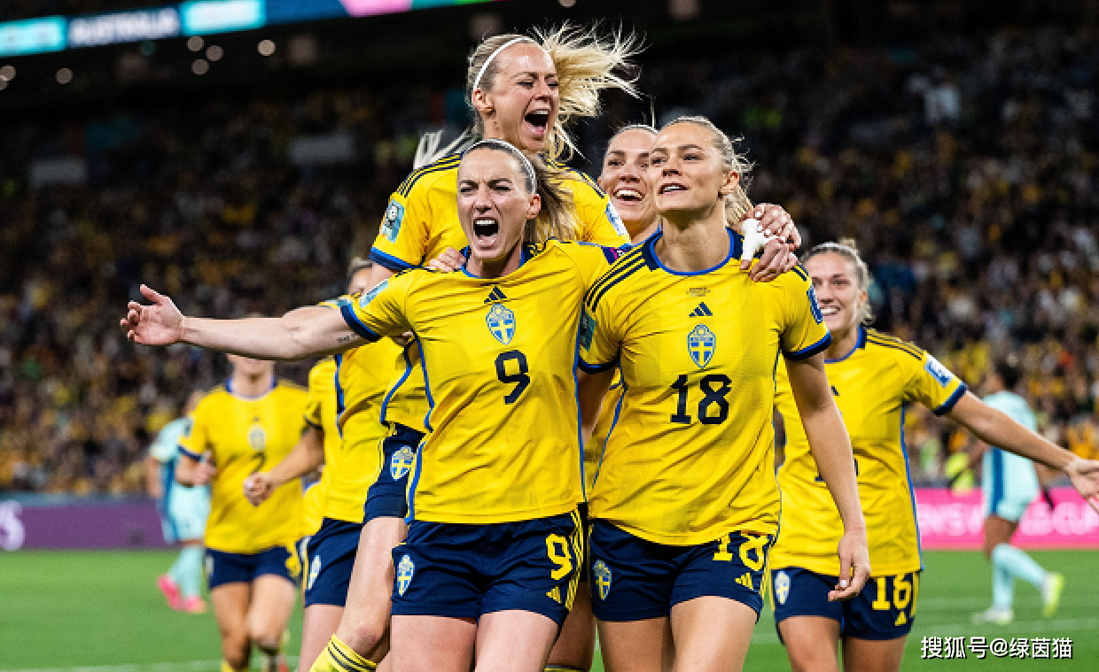 -瑞典苏醒斩获胜利，成功晋级的简单介绍