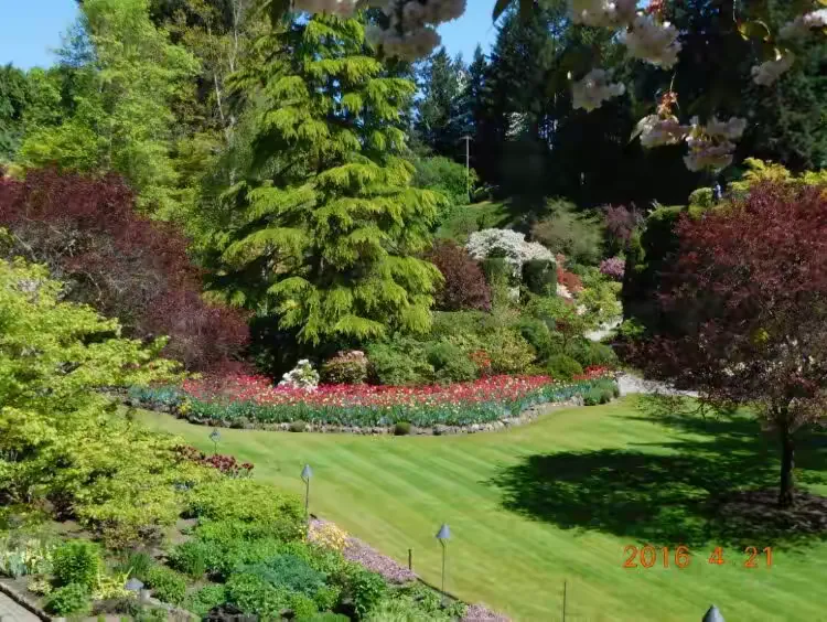 比赛节奏高低起伏，胜负焦点意外战果令人叹赏的简单介绍