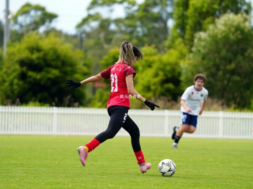 荷兰女足队主帅调整战术，赢得连胜的简单介绍